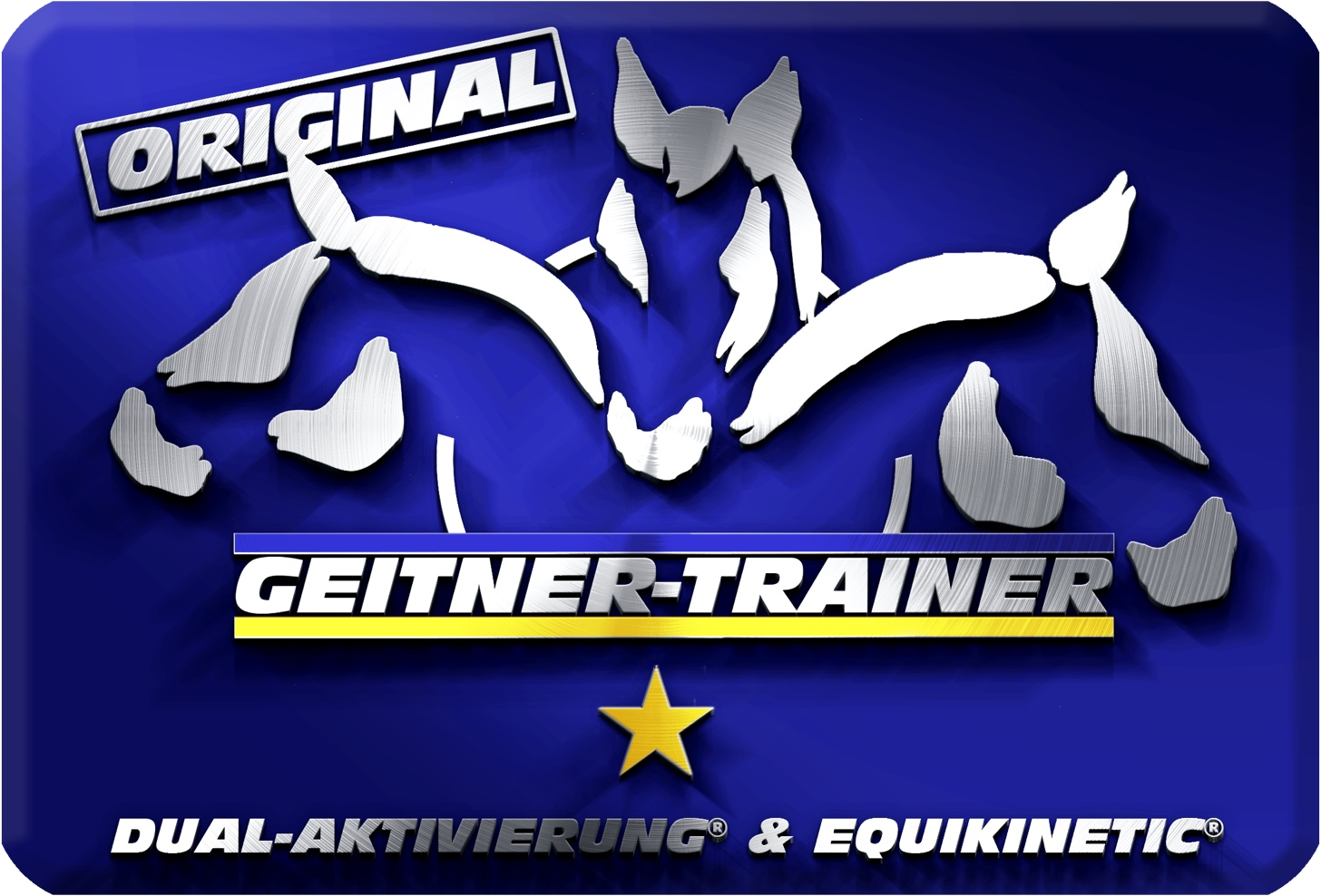 Dual Instructor EquiRhön | Equikinetic® & Dual-Aktivierung® in der Rhön